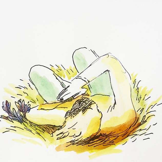 a drawing by Disa Wallender, someone taking a nap in the grass