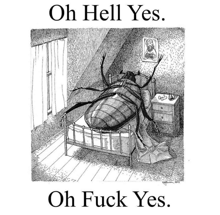 un dessin d'un grand cafard sur un lit sur le dos(on pense évidemment à la métamorphose de kafka) avec écrit au dessus Oh Hell Yes et en dessous Oh Fuck Yes